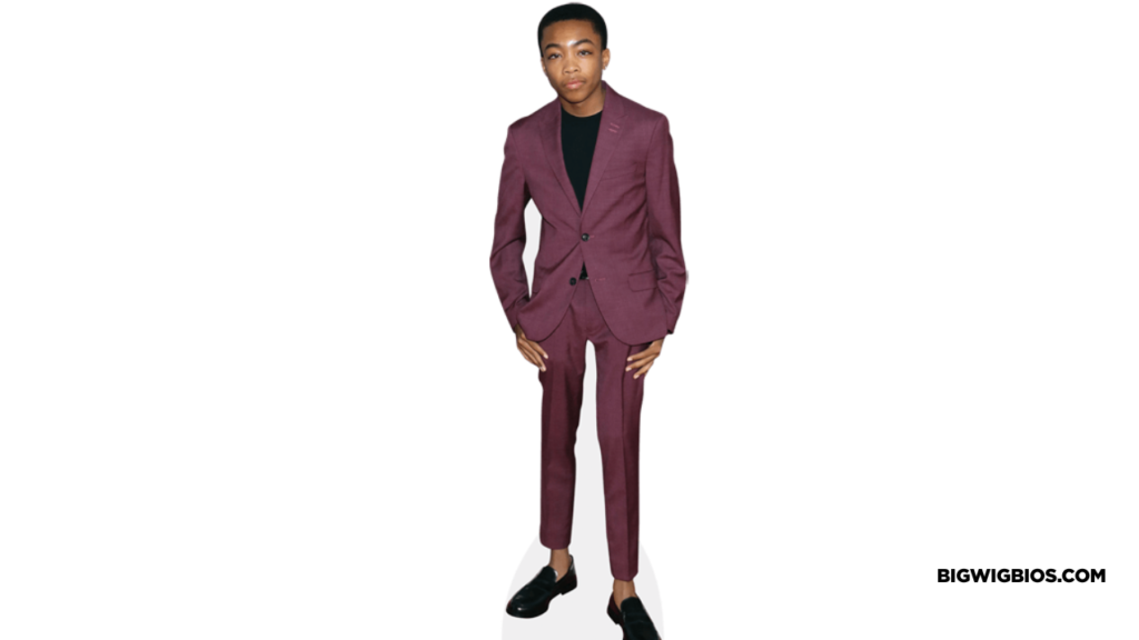 Asante Blackk