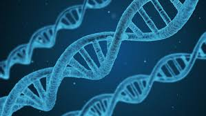 A Simple Guide to the Gene-Editing Revolution with CRISPR